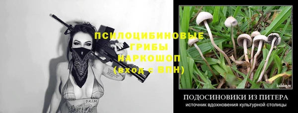 мет Абинск