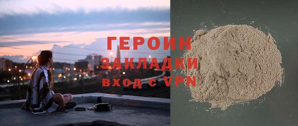 сатива Новозыбков